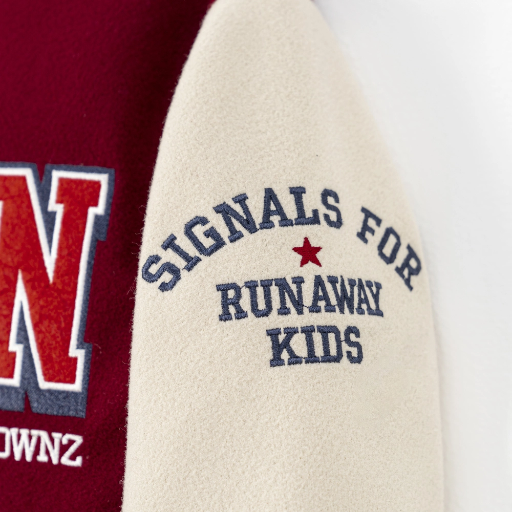 Áo khoác Varsity LDZN chính hãng - Ảnh 5